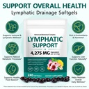 herbal-lymphatic-drainage-supplement-427-2.jpg