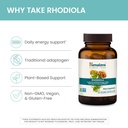himalaya-rhodiola-rosea-extract-herbal-r-3.jpg