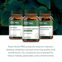 gaia-herbs-pro-curcuma-supreme-supports--6.jpg
