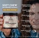 tribe-organics-ashwagandha-gummies-with--3.jpg