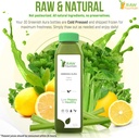 celery-juice-cleanse-by-raw-fountain-all-5.jpg
