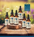 wise-woman-herbals-milk-thistle-glycerit-3.jpg