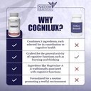 cognilux-brain-supplements-for-memory-an-5.jpg