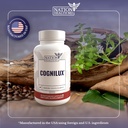 cognilux-brain-supplements-for-memory-an-6.jpg