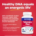 enzymedica-telomere-plus-telomerase-acti-4.jpg