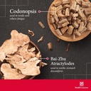 health-concerns-six-gentlemen-digestive--3.jpg