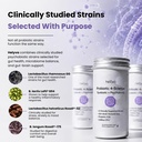 probiotic-supplement-for-gut-brain-and-i-4.jpg