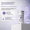 probiotic-supplement-for-gut-brain-and-i-5.jpg