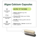 zab-algae-calcium-supplement-plant-based-4.jpg