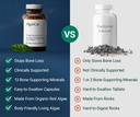 algaecal-vitality-bundle-free-4-in-1-vit-2.jpg
