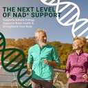 nmnh-nad-supplement-250mg-30-count-lipos-4.jpg