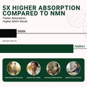 nmnh-nad-supplement-250mg-30-count-lipos-3.jpg
