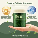 nad-nicotinamide-riboside-supplement-ext-5.jpg