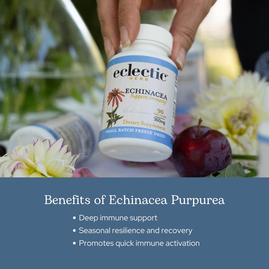 eclectic-herb-organic-echinacea-purpurea-4.jpg
