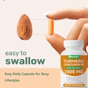 turmeric-curcumin-supplement-pure-turmer-6.jpg