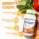 coq10-softgels-coenzyme-q10-supplement-4-6.jpg