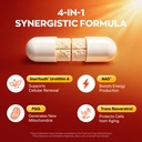 gynable-urolithin-a-supplement-with-nad--3.jpg