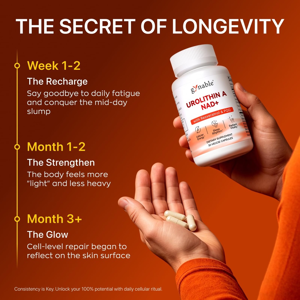 gynable-urolithin-a-supplement-with-nad--4.jpg