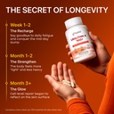 gynable-urolithin-a-supplement-with-nad--4.jpg