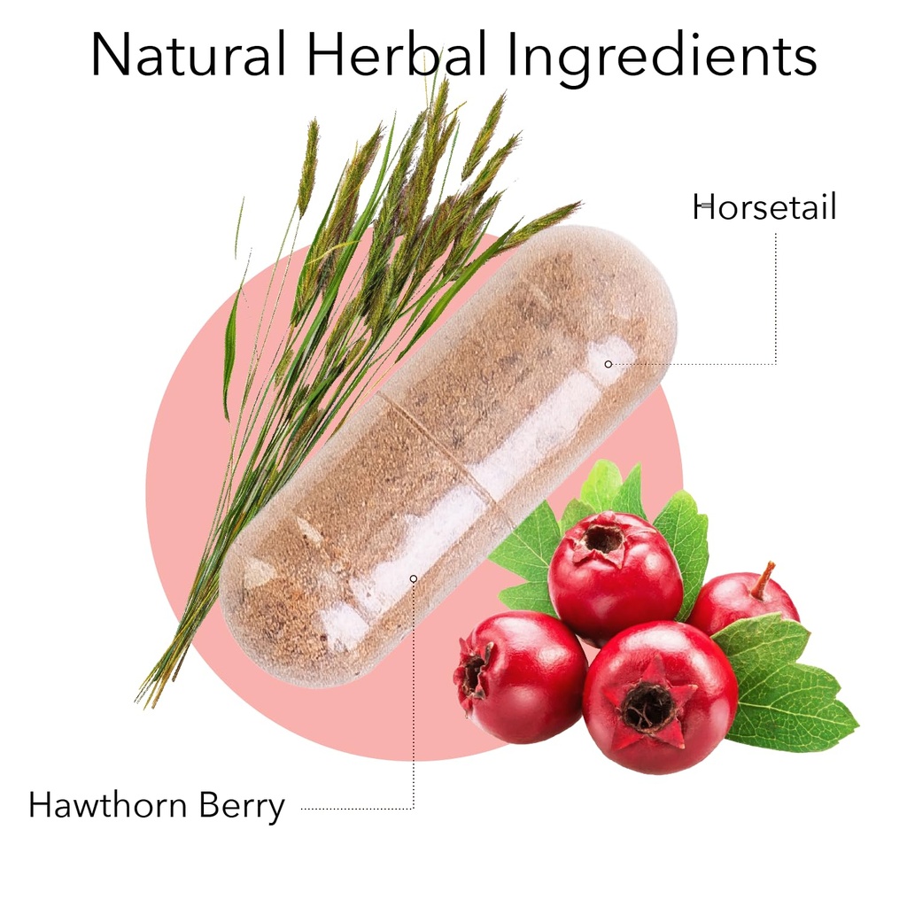 kroeger-herb-circu-flow-holistic-heart-s-2.jpg