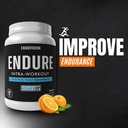 ekkovision-endure-intra-workout-30-servi-5.jpg