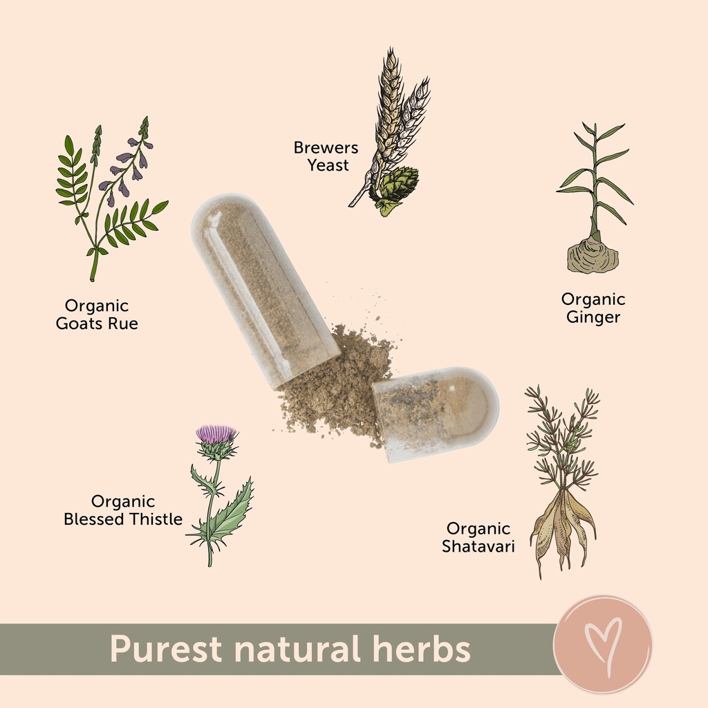 lactation-supplement-elevate-fenugreek-f-4.jpg