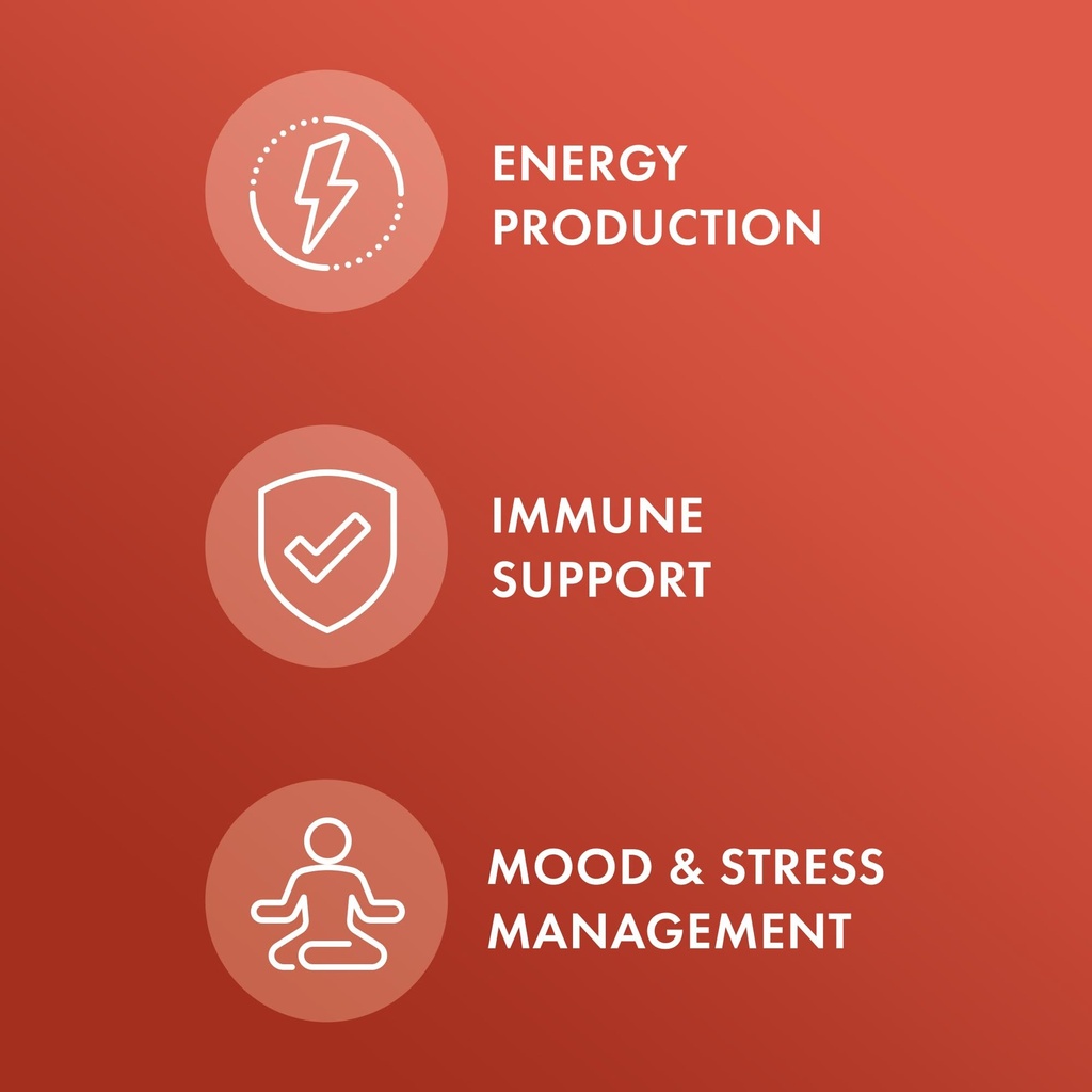 dr-mercola-organic-ashwagandha-supports--3.jpg