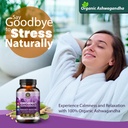 ashwagandha-ksm-66-pure-organic-root-pow-3.jpg