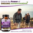ashwagandha-ksm-66-pure-organic-root-pow-2.jpg