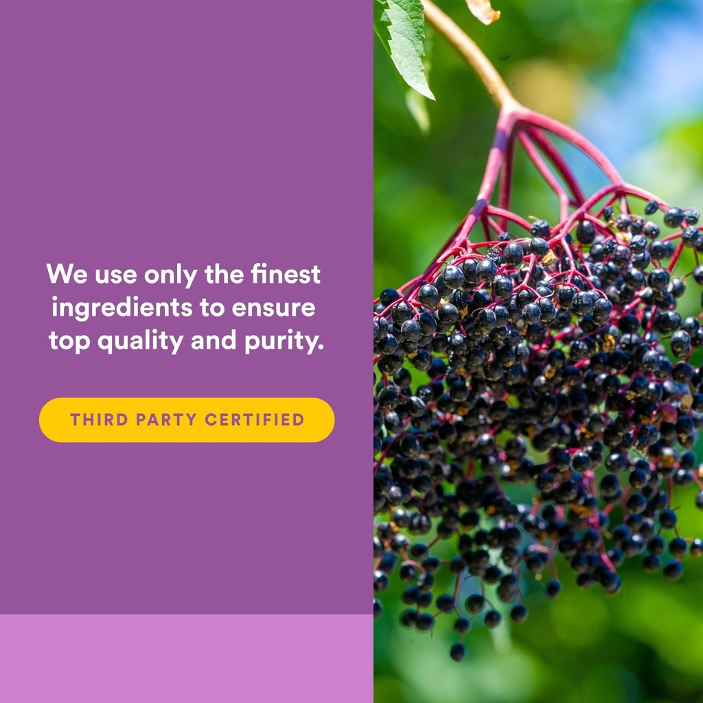natural-factors-black-elderberry-100-mg--5.jpg