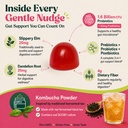 probiotic-kombucha-fiber-gummies-prebiot-4.jpg