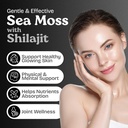 atlantic-naturals-sea-moss-and-shilajit--3.jpg