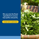natural-factors-androsense-t-correct-sup-5.jpg