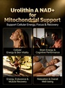 urolithin-a-premium-6-in-1-mitochondrial-3.jpg