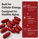 urolithin-a-supplement-softgels-500mg-fo-2.jpg