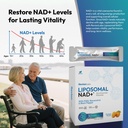 liposomal-nad-liquid-packets-liposomal-n-2.jpg