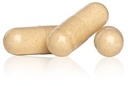 standard-process-biofilm-probalance-dige-3.jpg