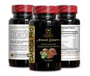 candida-pro-black-walnut-wormwood-probio-5.jpg