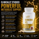 leaping-lynx-berberine-hcl-1200mg-60-cap-6.jpg