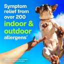 claritin-allergy-medicine-for-adults-24--6.jpg