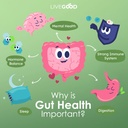 livegood-probiotic-gut-support-4.jpg