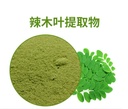 traditions-organic-moringa-leaf-extract--2.jpg