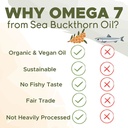 seabuckwonders-omega7-complete-sea-buckt-6.jpg