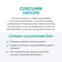 rootcology-by-dr-izabella-wentz-curcumin-5.jpg