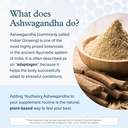 youtheory-ashwagandha-liquid-uses-ksm-66-4.jpg
