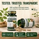 wonder-family-ashwagandha-complex-800mg--6.jpg
