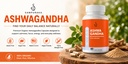 organic-ashwagandha-root-capsules-100-or-4.jpg