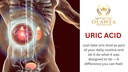 natural-uric-acid-formula-herbal-formula-6.jpg