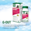 bell-bundle-turmeric-curcumin-g-out-uric-5.jpg