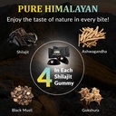 best-naturtals-shilajit-gummies-from-him-3.jpg